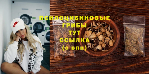 гашик Надым