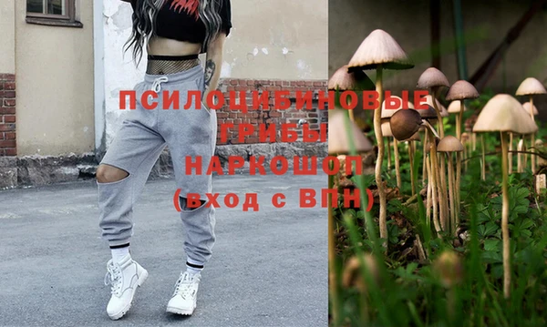 гашик Балабаново
