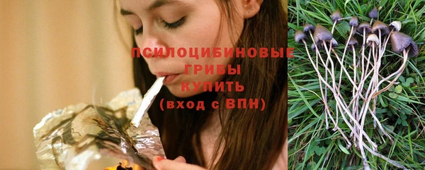 гашик Балабаново